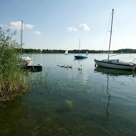 Pod Modrzewiem Powidz (Slupca)