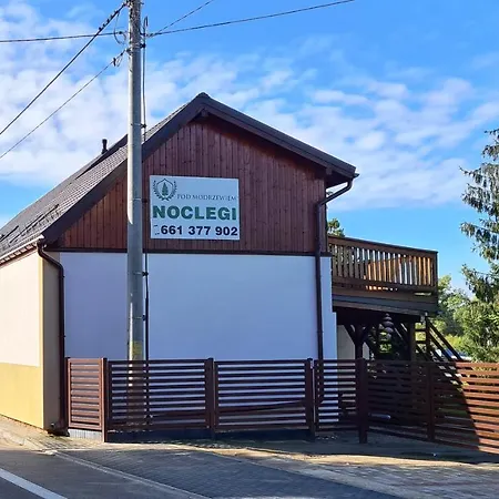 Apartment Pod Modrzewiem Powidz (Slupca)