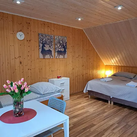 Pod Modrzewiem Apartment Powidz (Slupca)