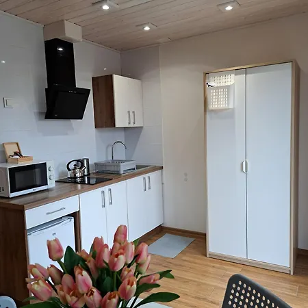 아파트 Pod Modrzewiem *