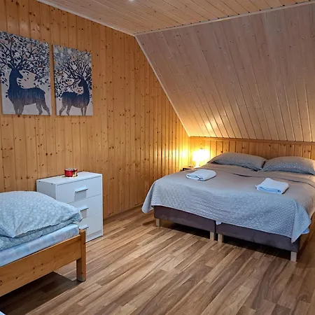 Pod Modrzewiem Apartment *
