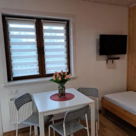Pod Modrzewiem Apartment