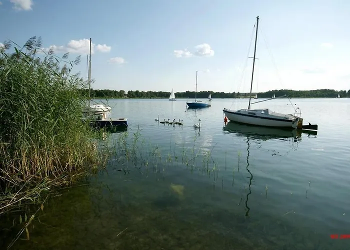 Pod Modrzewiem Powidz (Slupca)