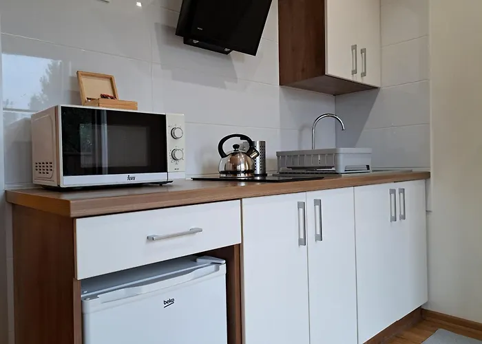 Pod Modrzewiem * ポビツ