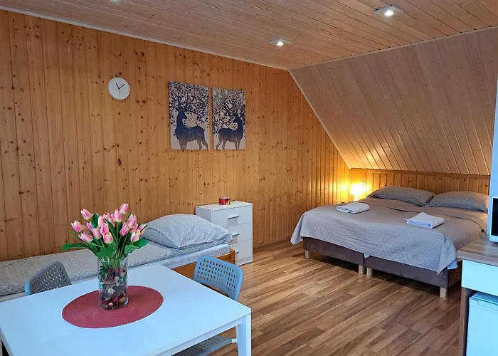 Pod Modrzewiem Apartment Powidz (Slupca)