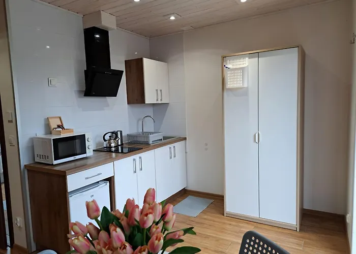 Apartment Pod Modrzewiem *