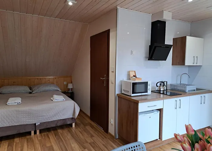 Apartment Pod Modrzewiem