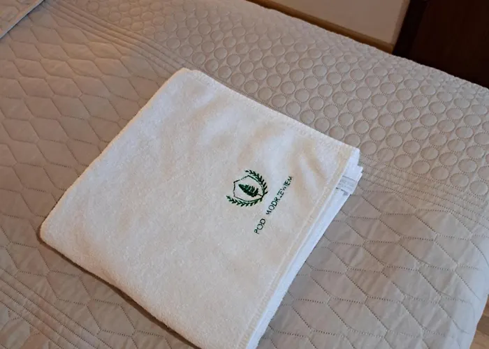 Pod Modrzewiem アパート *