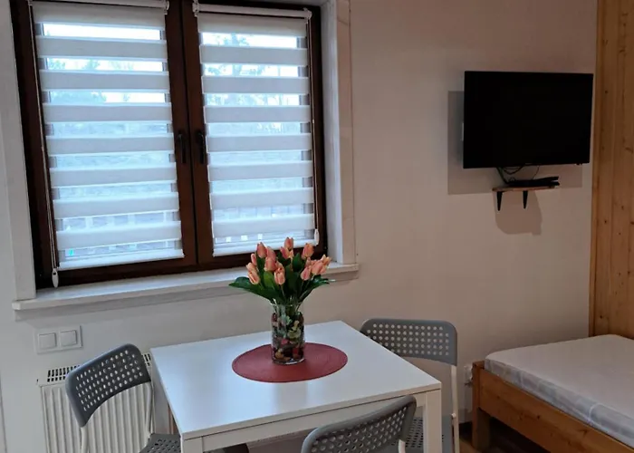 Pod Modrzewiem Apartment