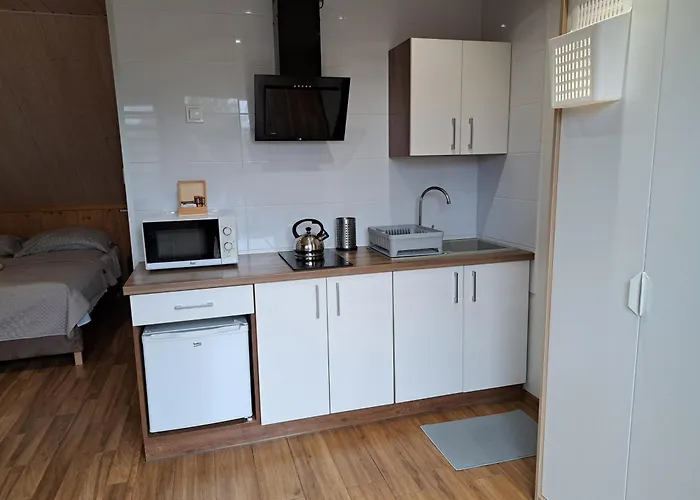 Apartment Pod Modrzewiem *