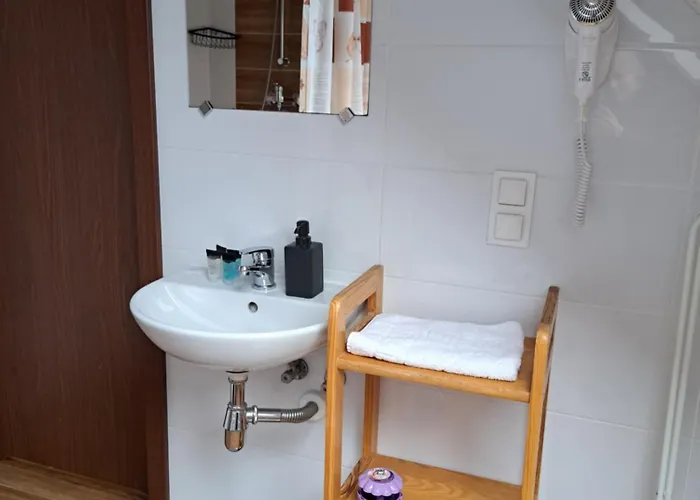 Pod Modrzewiem Apartment *